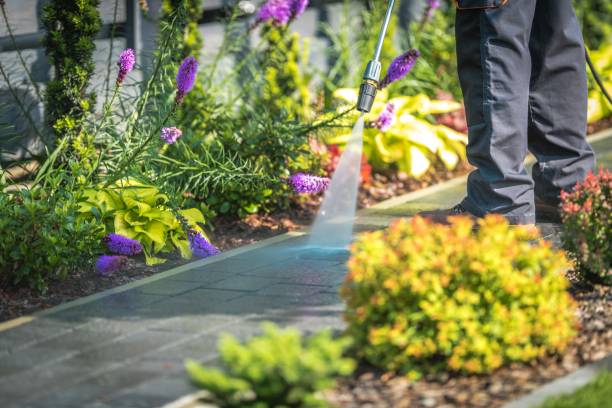 Reliable Bayou Gauche, LA  Pressure Washing Services Solutions