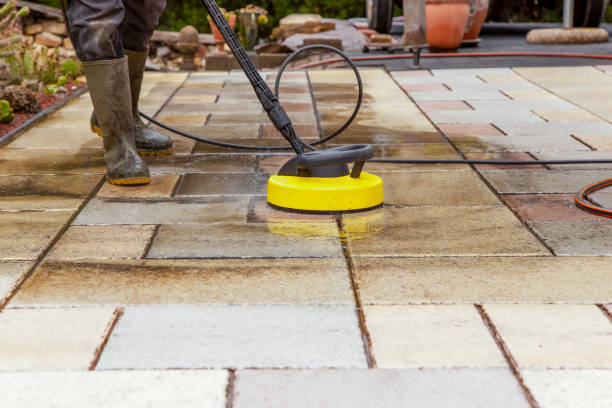 Best Dumpster Area Cleaning  in Bayou Gauche, LA